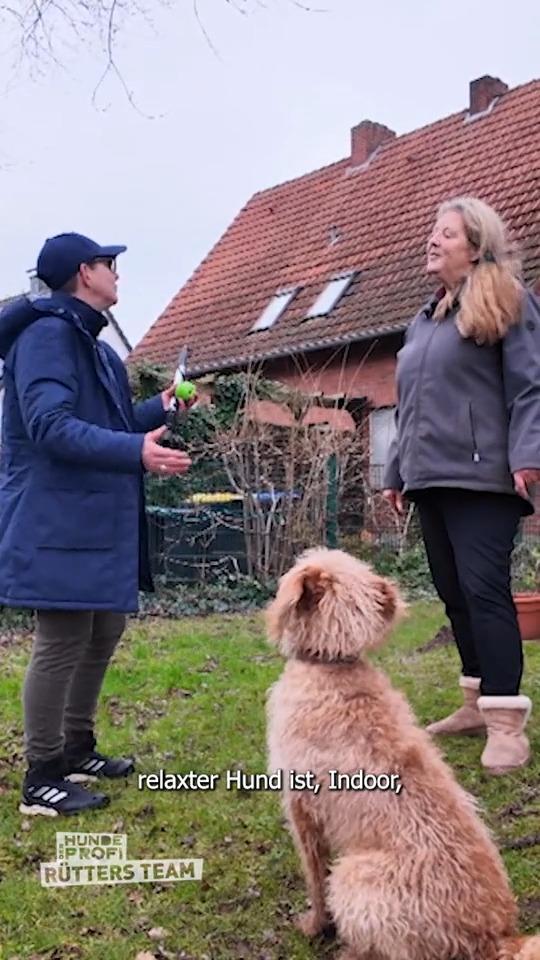 Alf kann nicht alleine bleiben