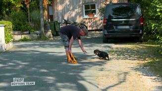Wenn der Dackel lieber parkt als spaziert