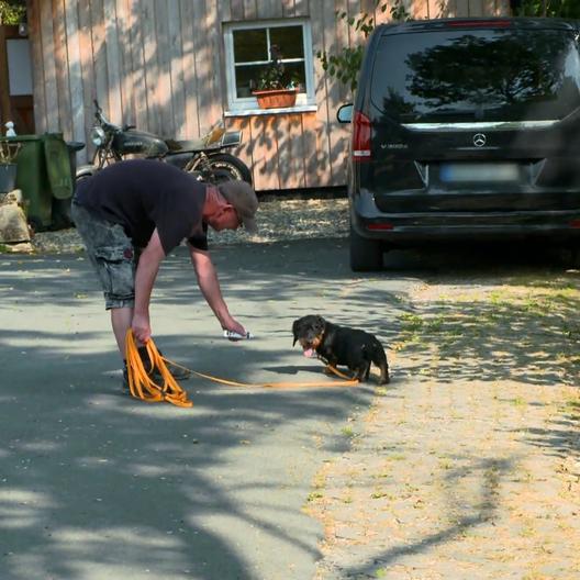 Der einzige Vierbeiner mit eingebautem Rückwärtsgang