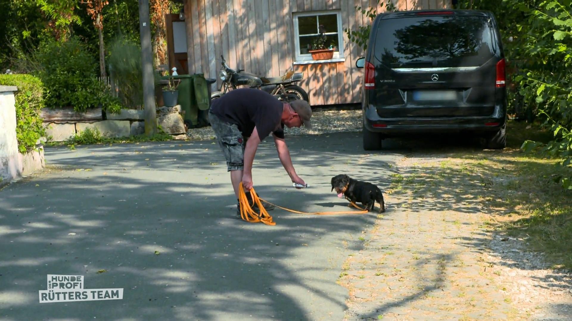 Dackel Bobby steht völlig unter Stress
