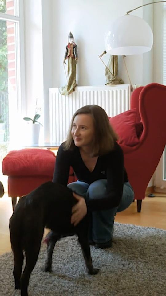 Demenz bei Hunden