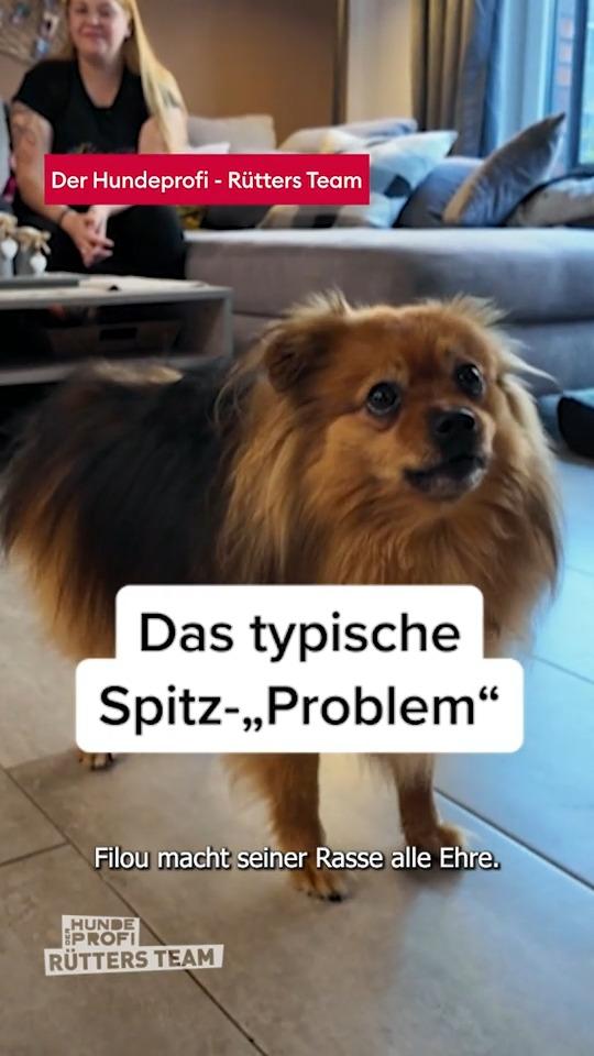 Er macht seiner Rasse alle Ehre