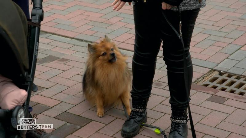 Filou macht Fortschritte