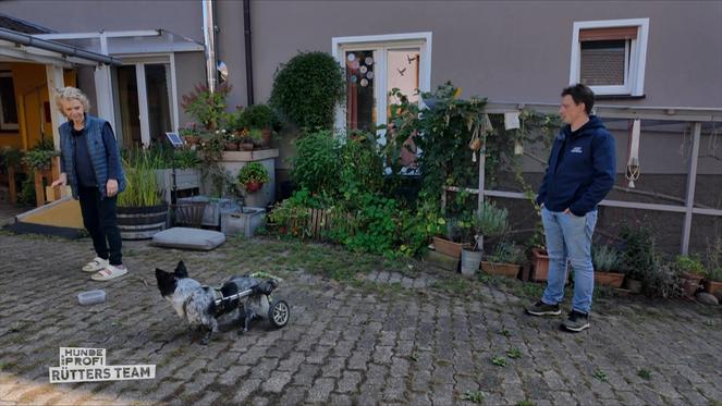 Jelle lernt, Besucher freundlich zu empfangen