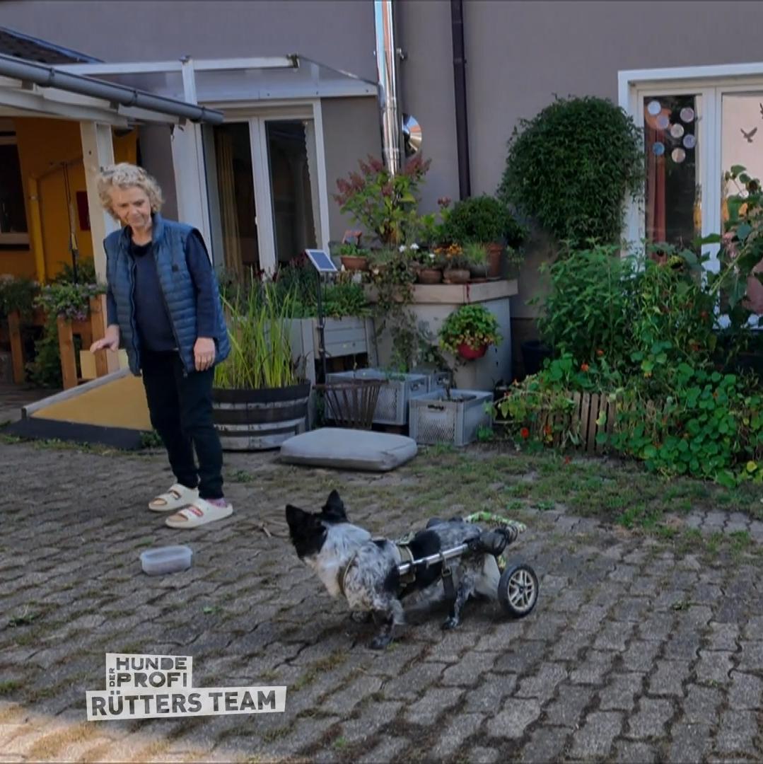 Marcel nimmt sich Zeit für Jelle