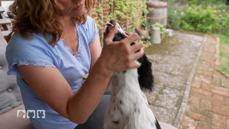 Kate übt mit Hund Boo beim „Medical Training“
