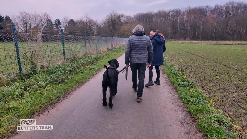 Fred kämpft mit dem Training und seinen eigenen Grenzen