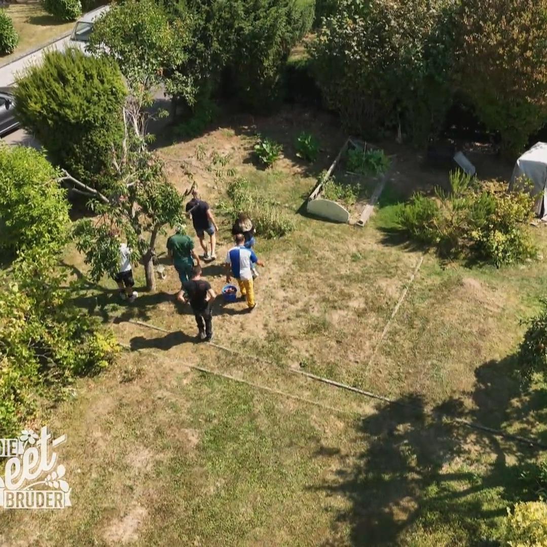 Eine neue Herausforderung für die Beet-Brüder