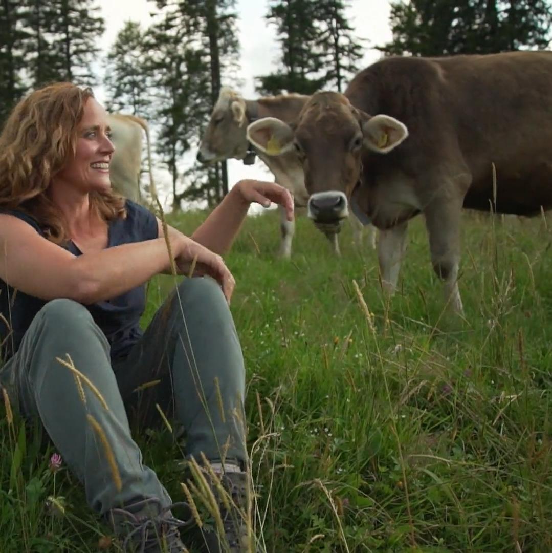 Kate Kitchenham besucht Kurs zum Thema "Hund und Kuh"