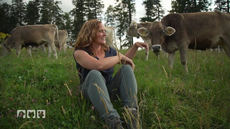 Kate Kitchenham besucht Kurs zum Thema "Hund und Kuh"