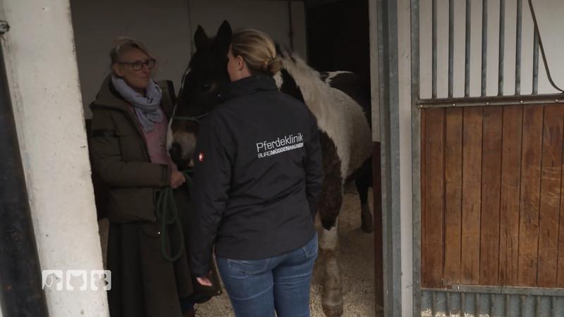 Tierärztin Vanessa Andre kämpft um die Heilung eines schweren Hufabszesses