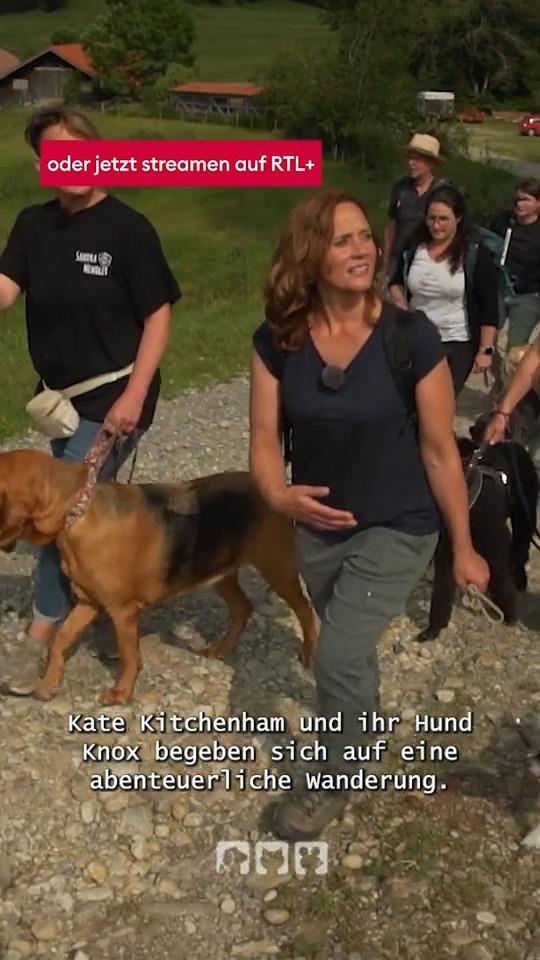 Vorsicht Kühe!