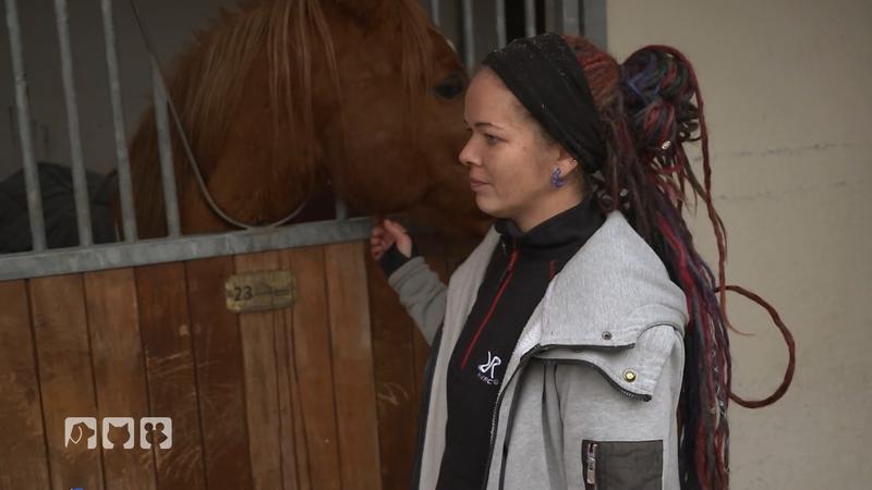 Wallach mit Nasenproblemen – Ärztin Astrid sucht die Ursache