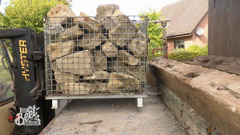 Die Beet-Brüder setzen auf Kreativität statt Einkaufstour