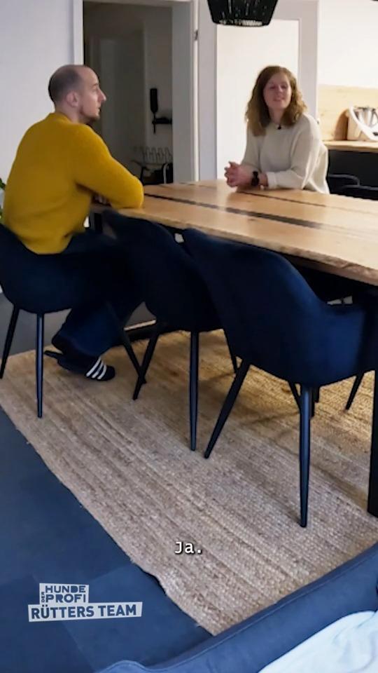 Bissige Honey beansprucht Wohnung für sich