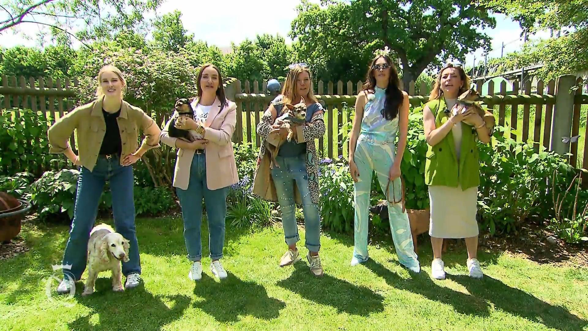 Pudelwohl in die neue Motto-Woche