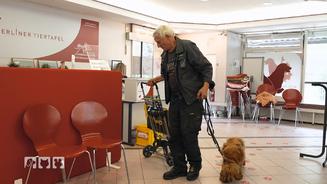 Die Berliner Tiertafel hilft Menschen und Tieren in Not 