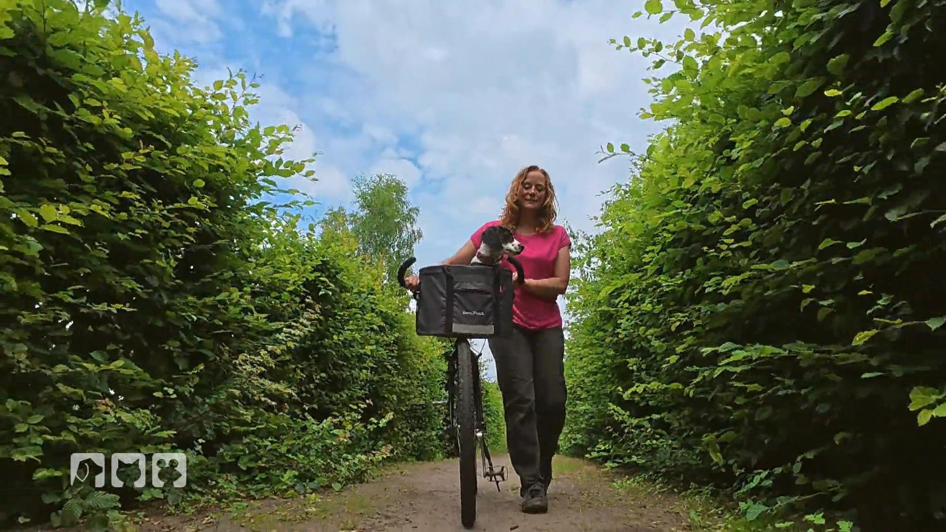 Boo muss ran – Kate setzt das Hundetraining fort