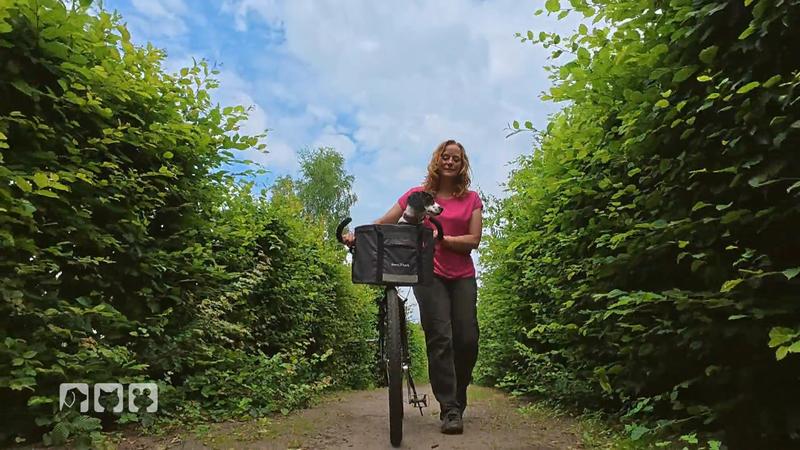 Boo muss ran – Kate setzt das Hundetraining fort