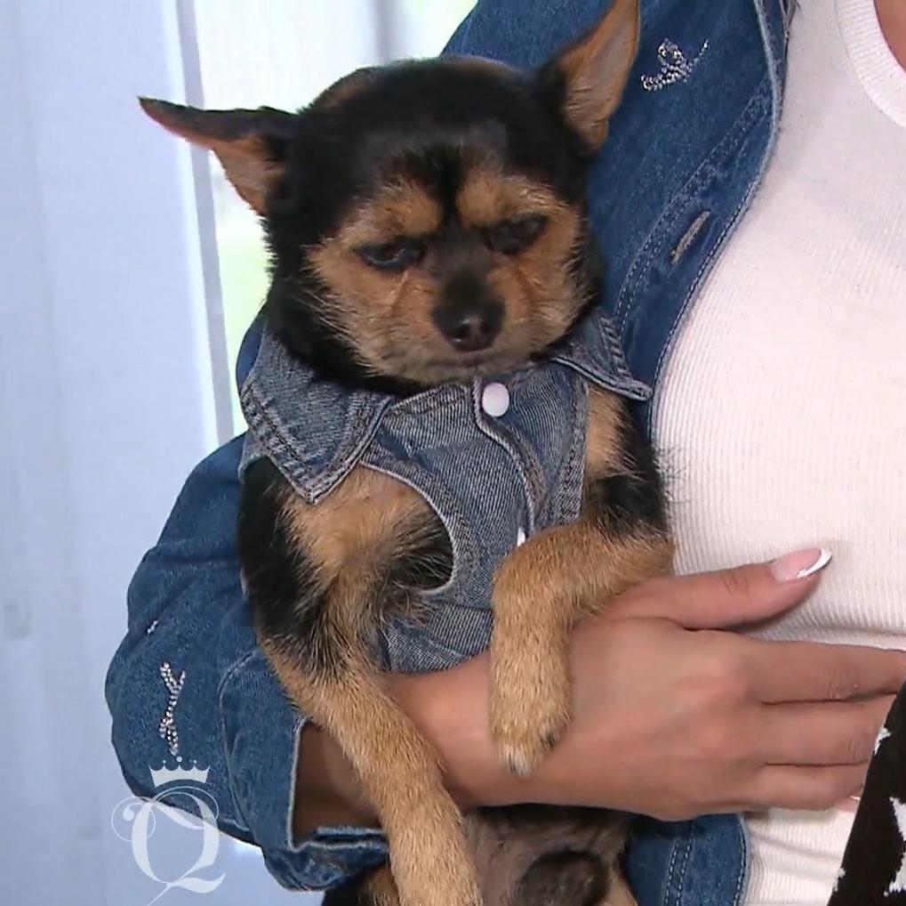 Mina kombiniert gerne ihre Looks mit ihrem Hund