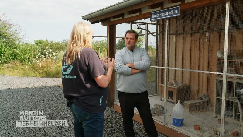 Martin Rütter und die Stadttauben