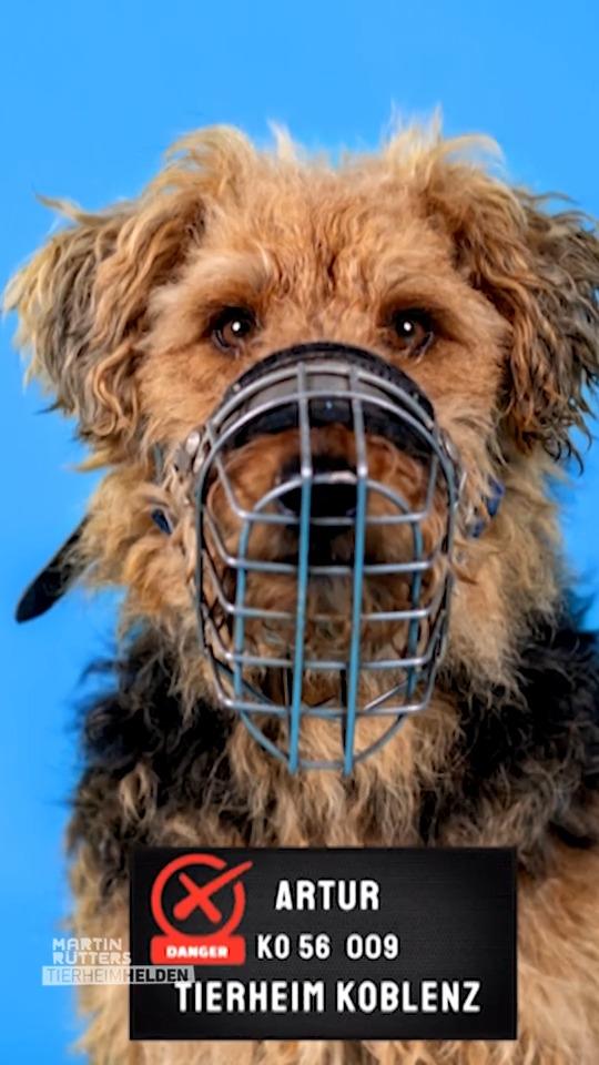 Arthur meint es ernst