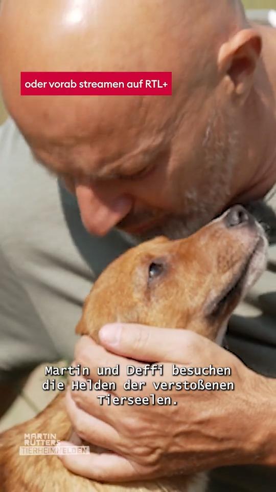Martin & Deffi besuchen das Tierheim Koblenz