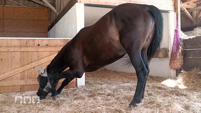 Cherie fällt nie in den lebenswichtigen Tiefschlaf
