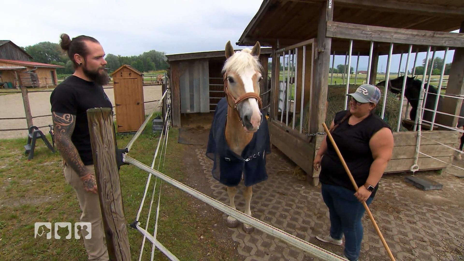 Oliver Fritsch behandelt Napoleon