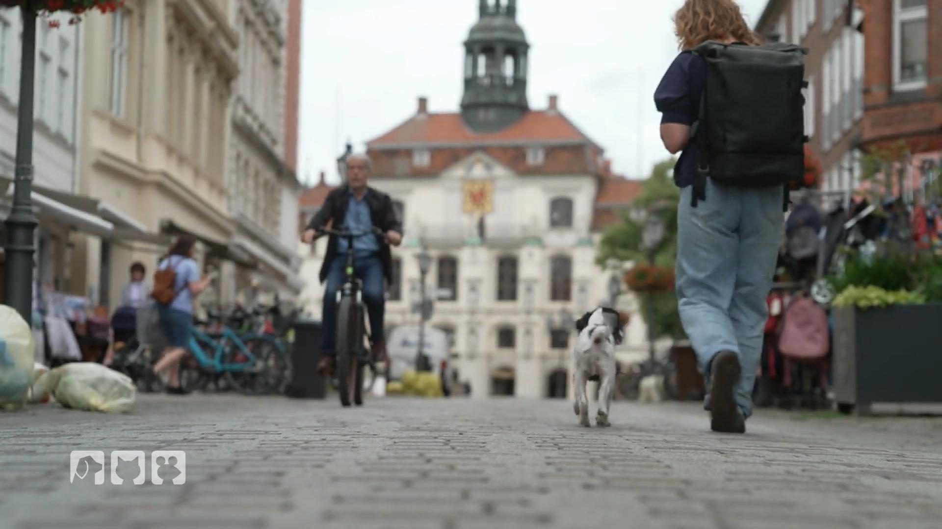 Kate Kitchenham übt mit Hund Boo das Verhalten in der Stadt