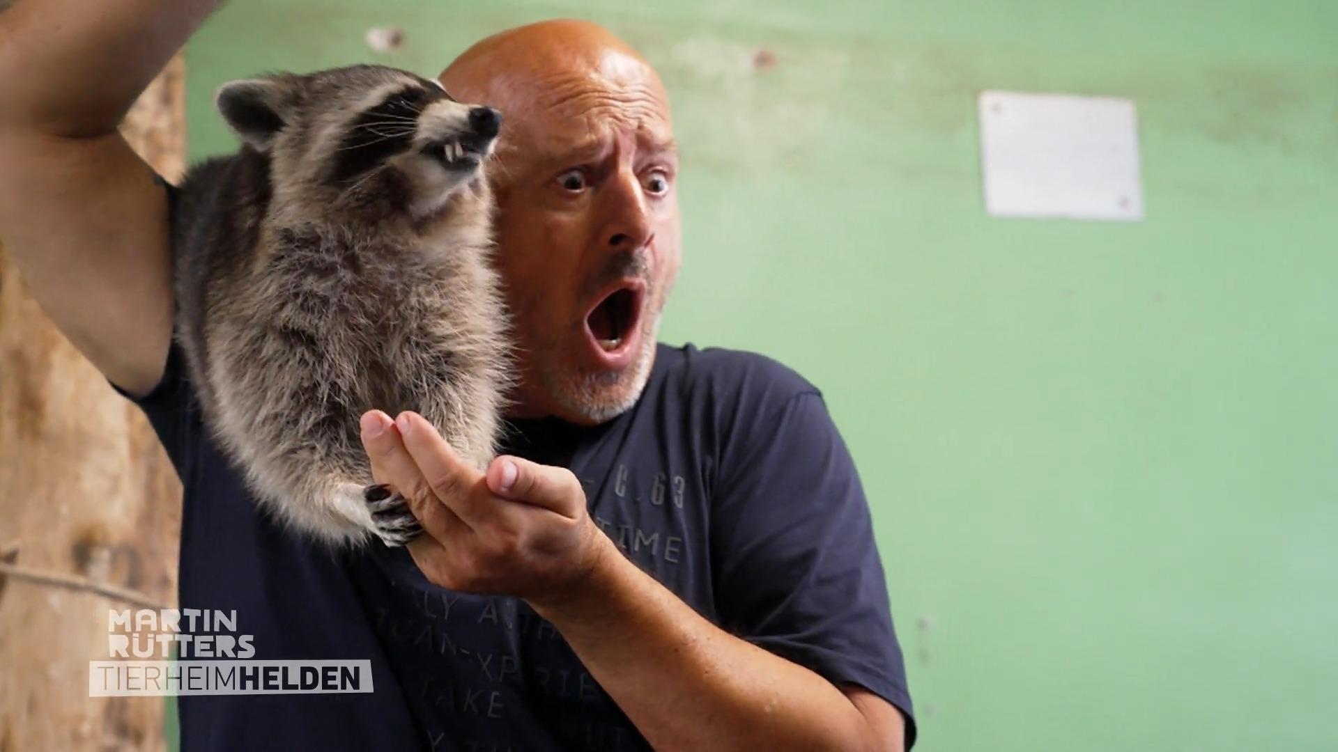 Für Detlev wird es ernst!