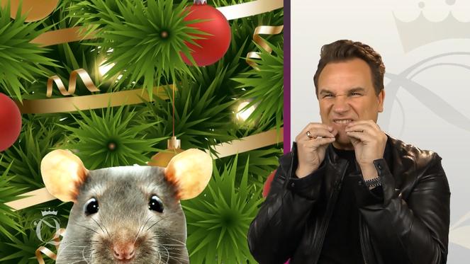 Eine unglaubliche Geschichte lässt Guido Maria Kretschmer schaudern