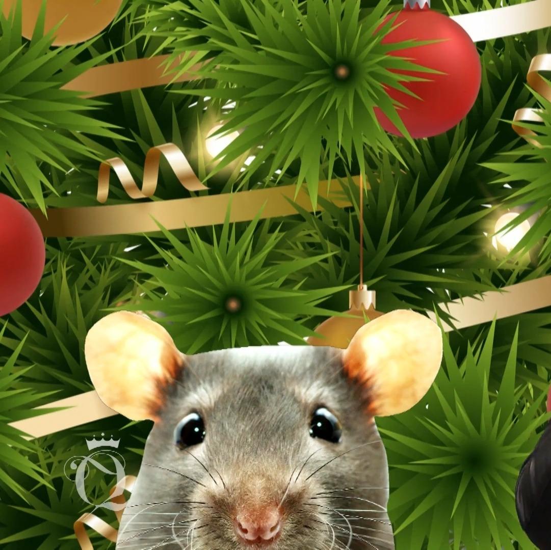 Guido hat ein neues Trauma