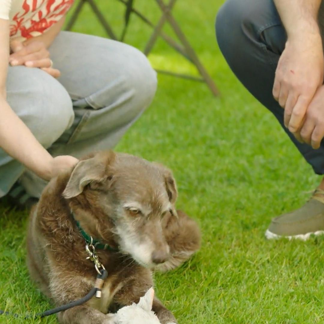 Liebe auf den ersten Blick