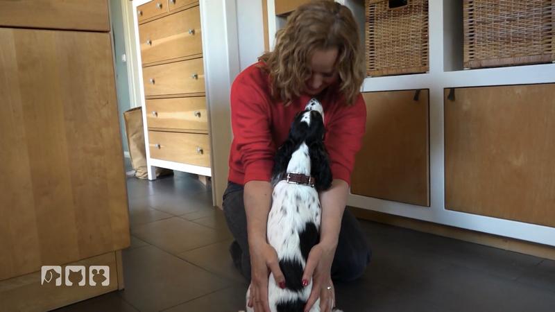 Kate Kitchenham übt das Busfahren