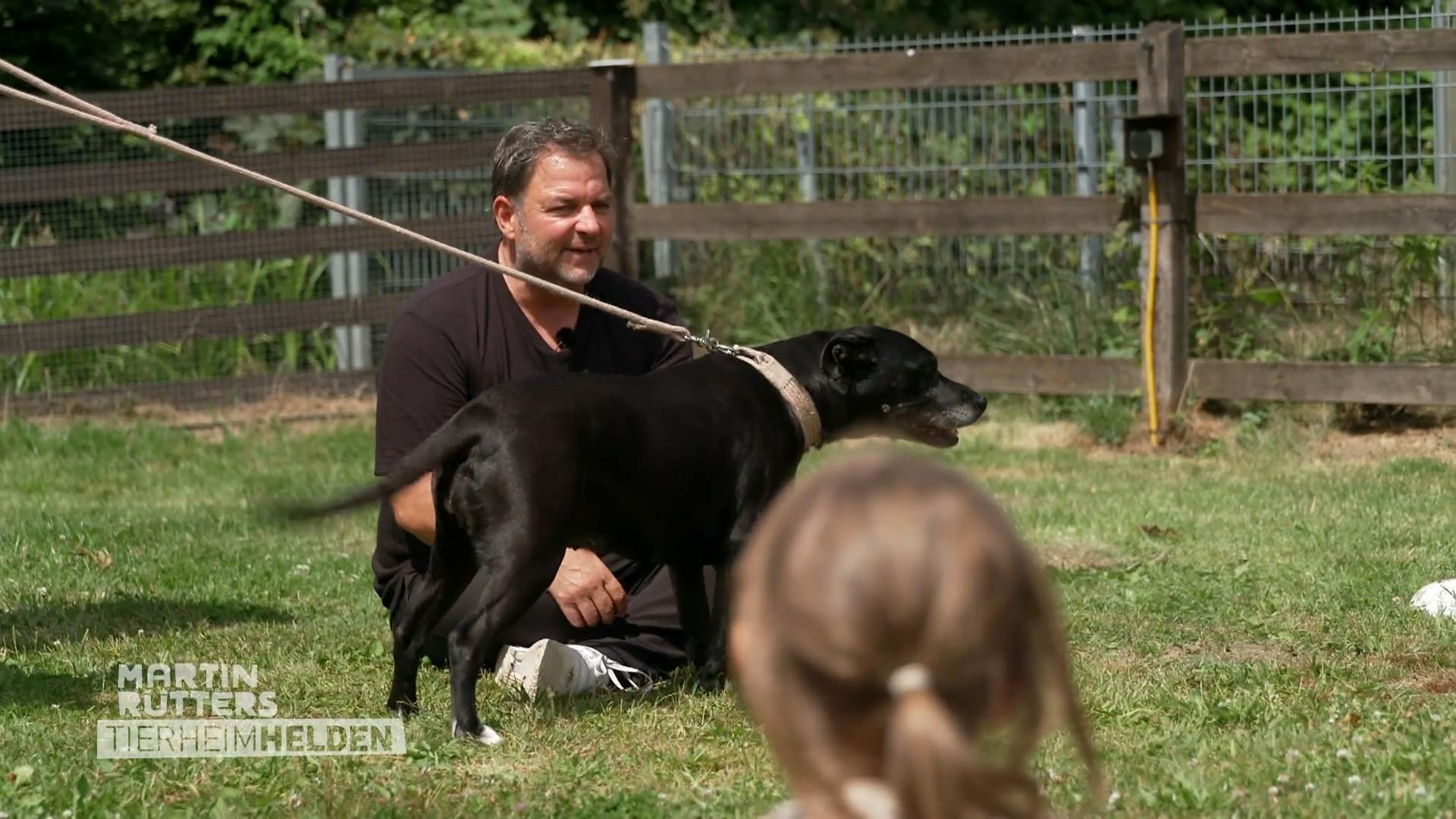 Detlef bringt einen vierbeinigen Helfer mit