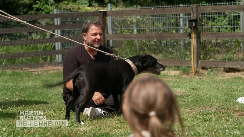 Detlef bringt einen vierbeinigen Helfer mit
