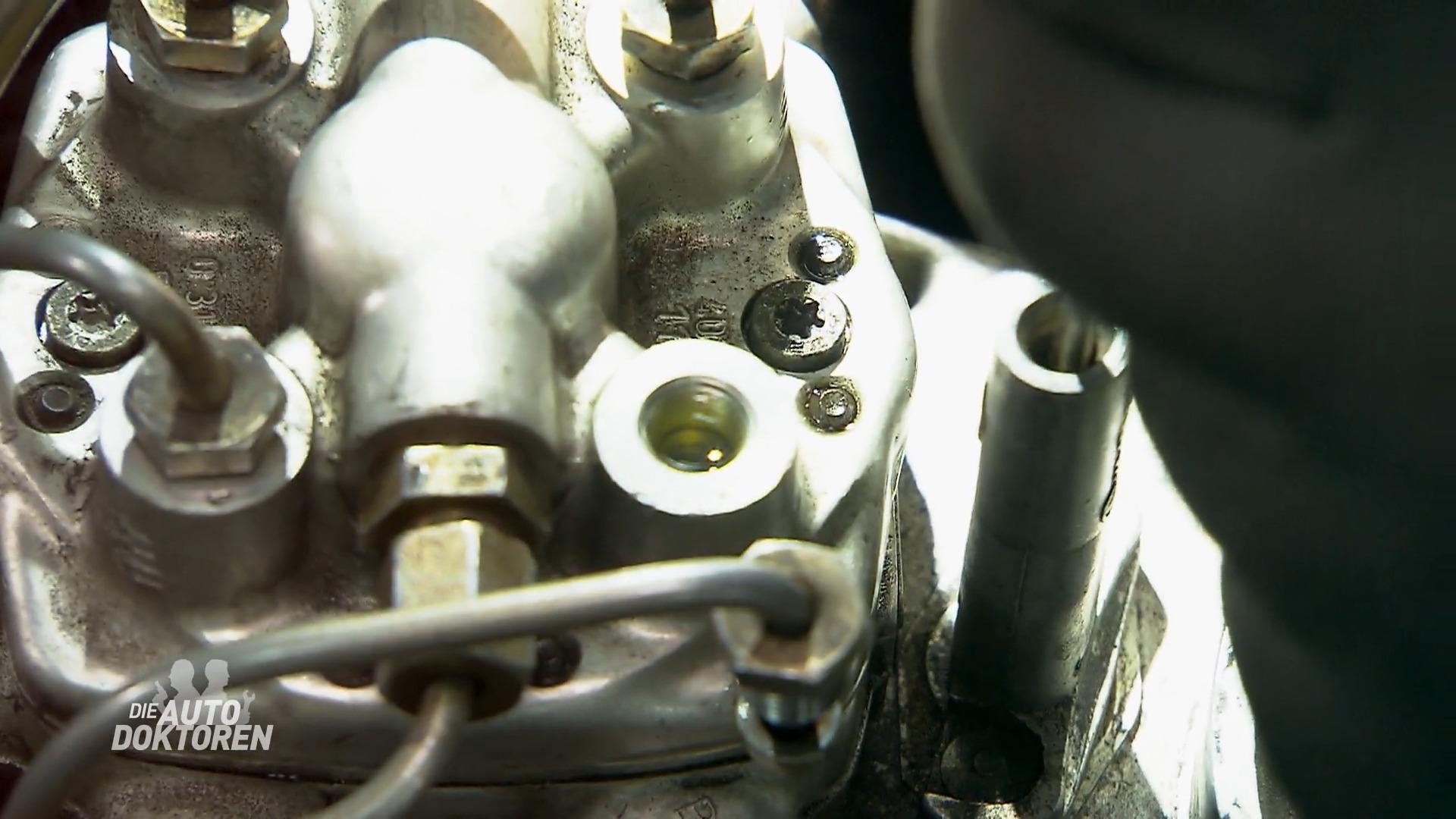 Die Autodoktoren prüfen die frische Online-Bestellung