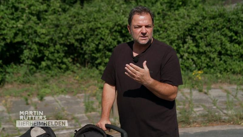 Chiara bereitet Hunde auf den Wesenstest vor