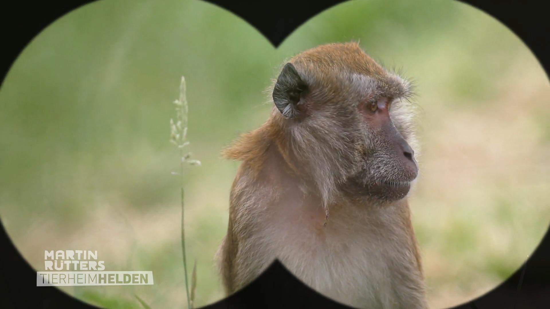 Martin und Detlef besuchen die AAP Tierschutzorganisation