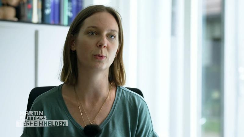 Stressfreier Transport der Servale