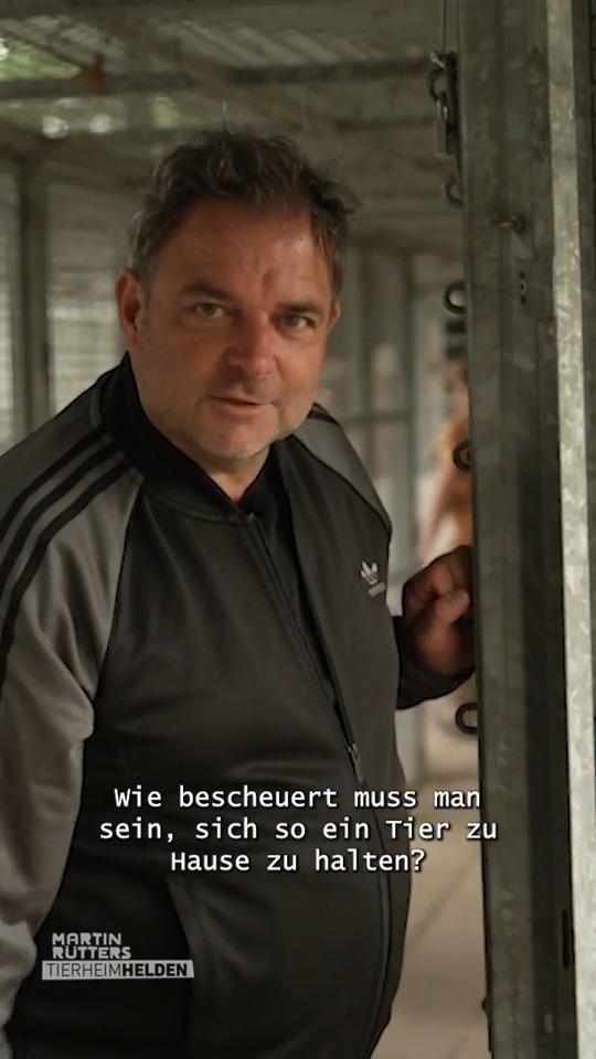 Martin Rütter ist fassungslos