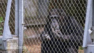 Buddys Kampf um ein neues Leben