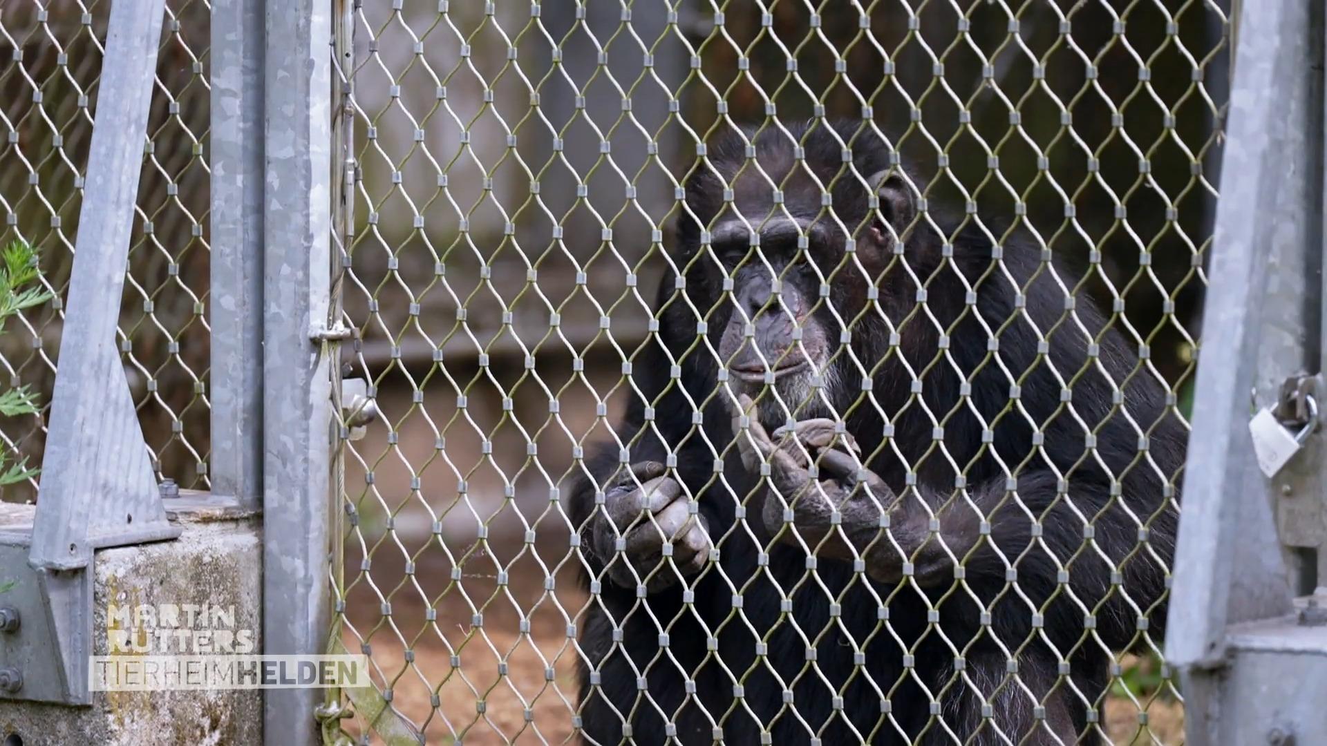 Buddy findet nach einer dramatischen Vergangenheit Sicherheit