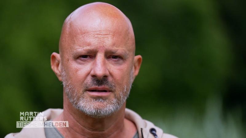 Buddy findet nach einer dramatischen Vergangenheit Sicherheit