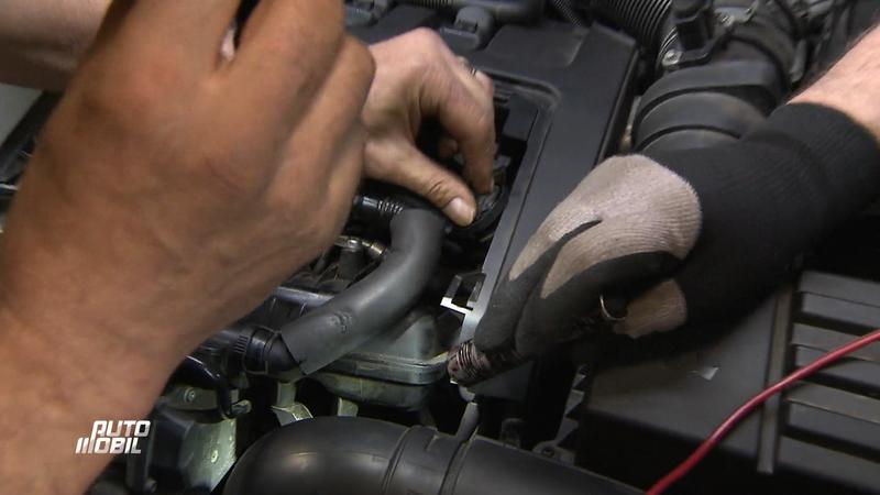 Qualm von unten bringt neue Hinweise