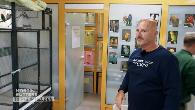 Teamwork im Vogelhaus