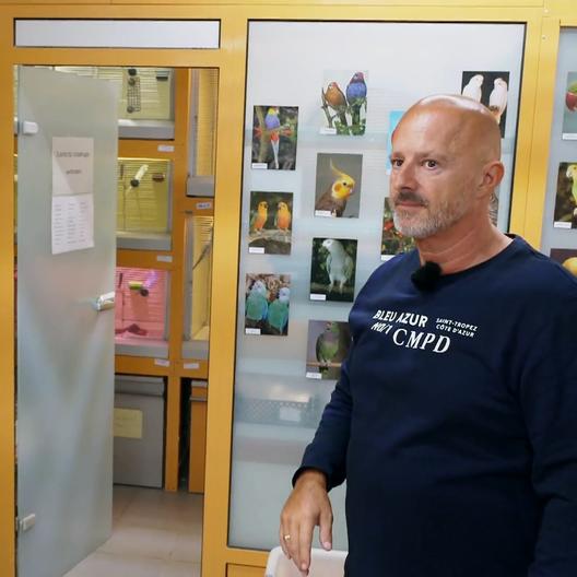 Teamwork im Vogelhaus