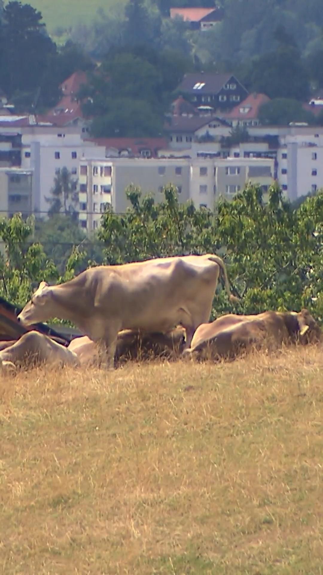 Kochen, wo andere Urlaub machen