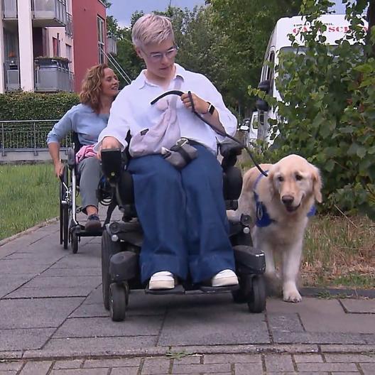 Assistenzhund Aidan tut alles für sein Frauchen